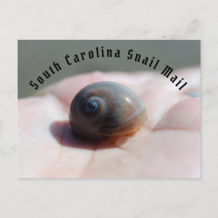 Snail Mail Postcard