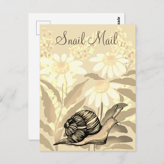 Snail mail postcard (Front/Back)