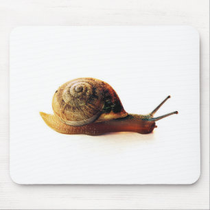 Snail Mouse Pad