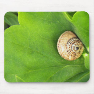 Snail Mouse Pad