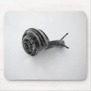 Snail Mouse Pad