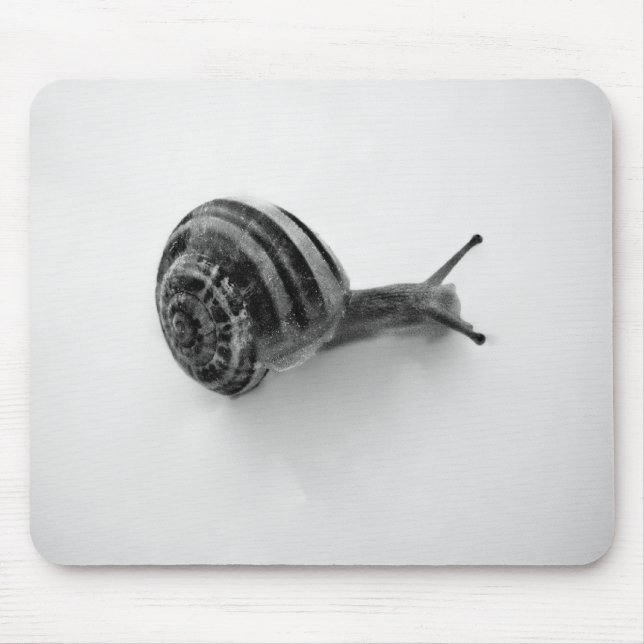 Snail Mouse Pad (Front)