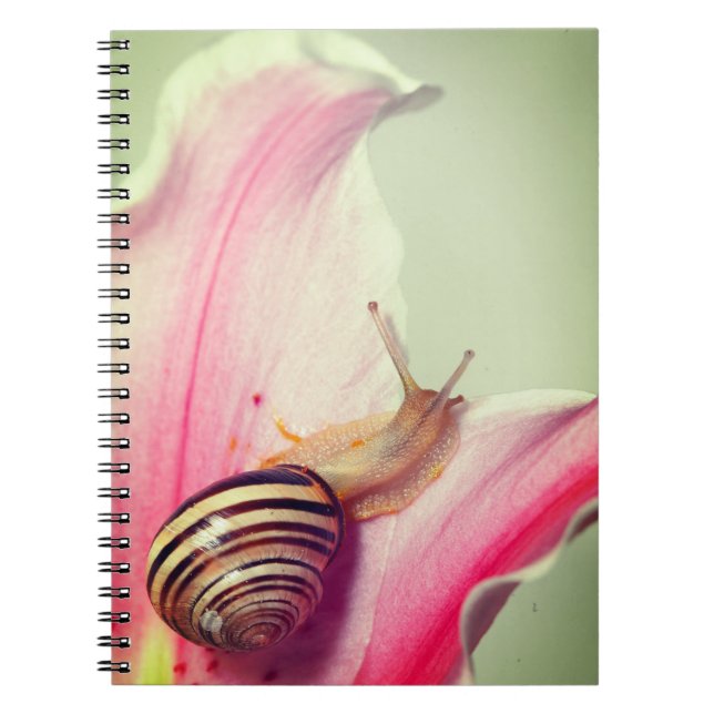 Snail Notebook (Front)