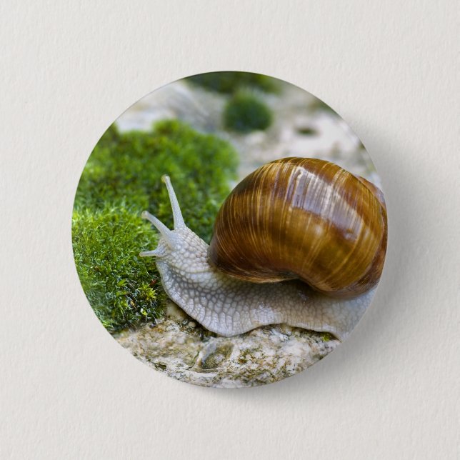 Snail of Burgundy 6 Cm Round Badge (Front)