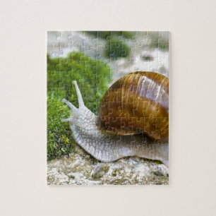 Snail of Burgundy Jigsaw Puzzle