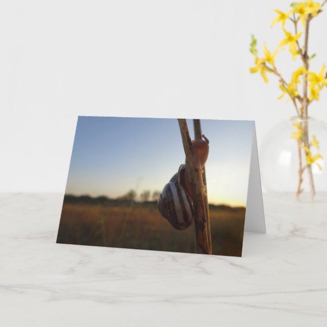 Snail on a Stem Card (Yellow Flower)