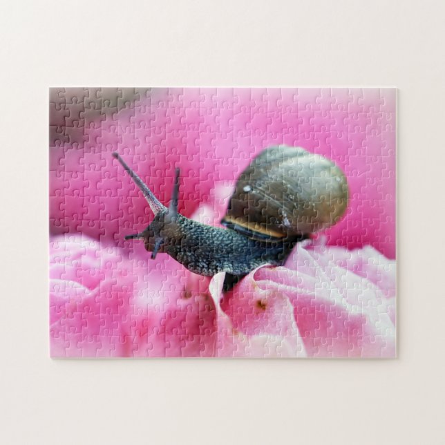 Snail on flower close up, Jigsaw Puzzle (Horizontal)