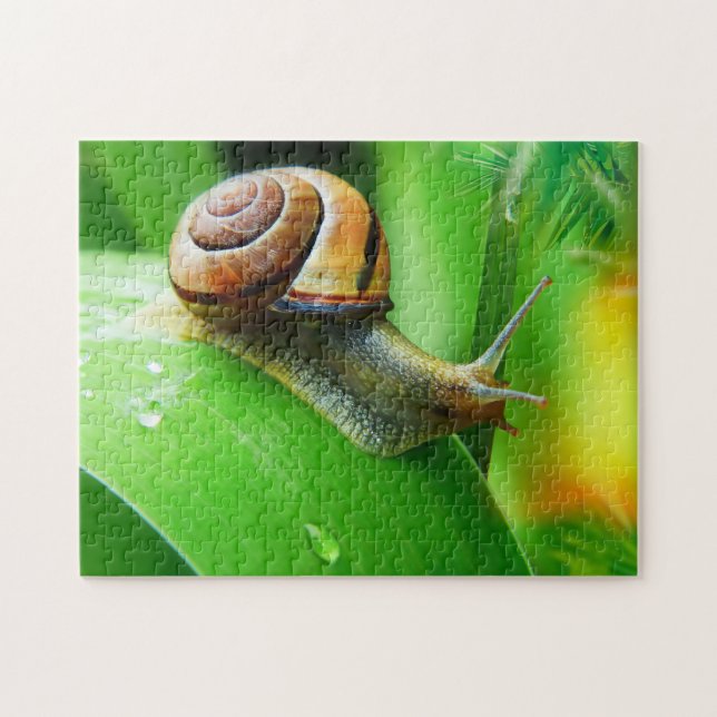 Snail on leaf close up, Jigsaw Puzzle (Horizontal)