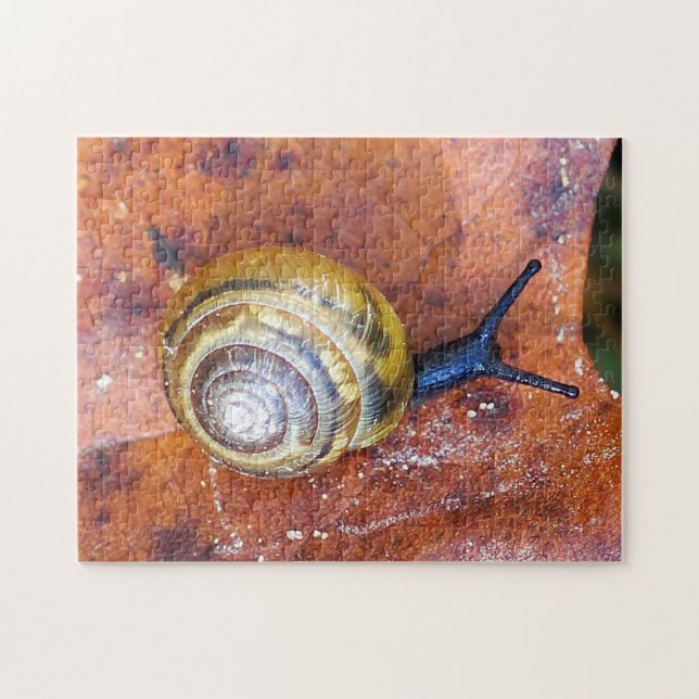 Snail on Leaf Puzzle (Horizontal)
