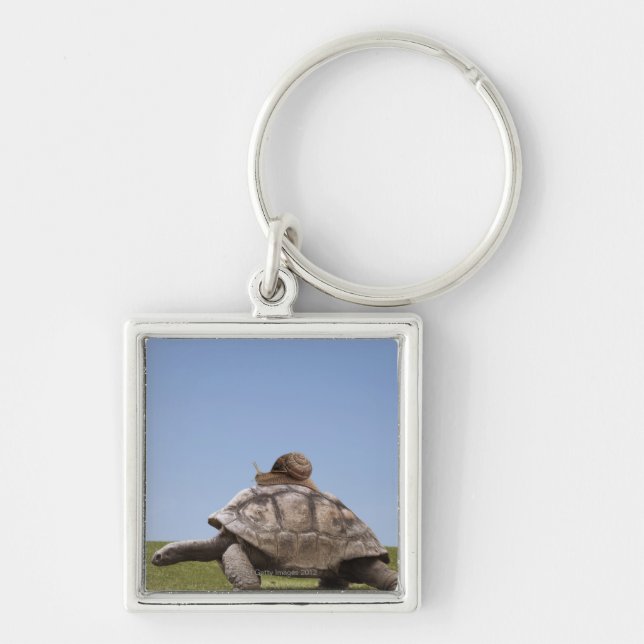 Snail over a turtle key ring (Front)