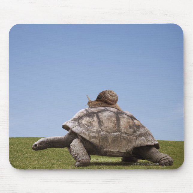 Snail over a turtle mouse pad (Front)