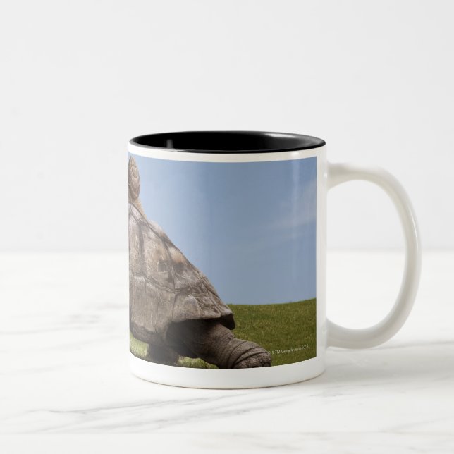 Snail over a turtle Two-Tone coffee mug (Right)