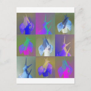 Snail Pop Art Postcard