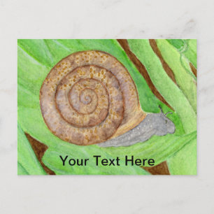 Snail Postcard