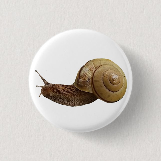 snail real photograph 3 cm round badge (Front)