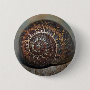 Snail Shell 6 Cm Round Badge