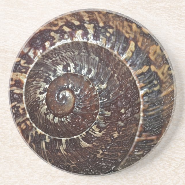 Snail Shell Coaster (Front)