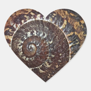Snail Shell Heart Sticker