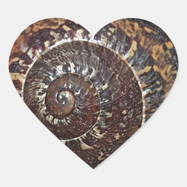 Snail Shell Heart Sticker (Front)