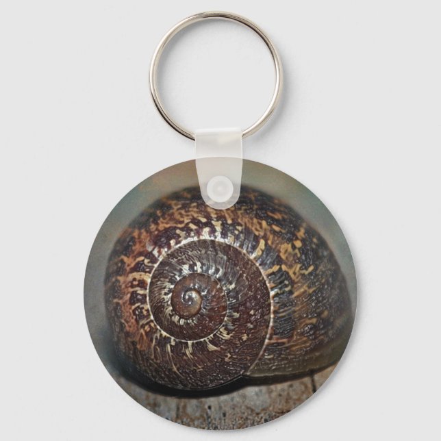 Snail Shell Key Ring (Front)