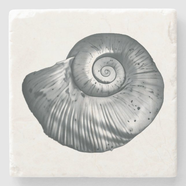 Snail Shell Stone Coaster (Front)