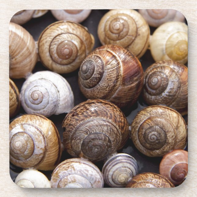 Snail Shells Coaster (Front)