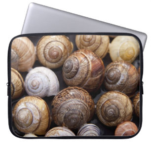 Snail Shells Laptop Sleeve