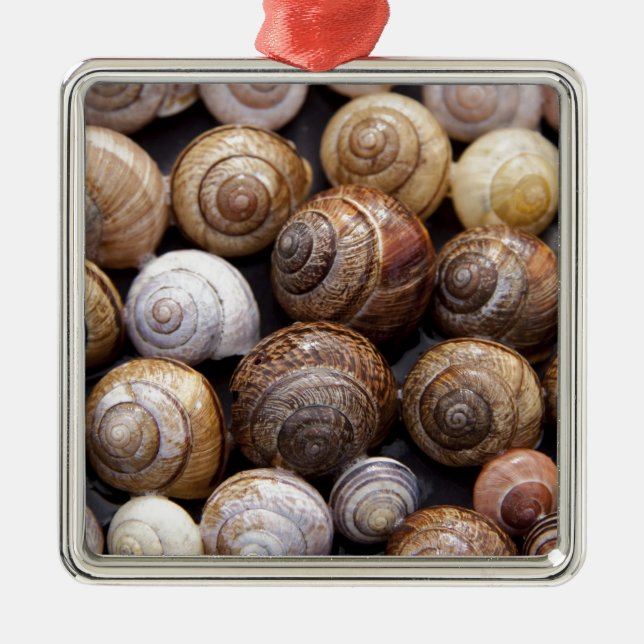 Snail Shells Metal Tree Decoration (Front)