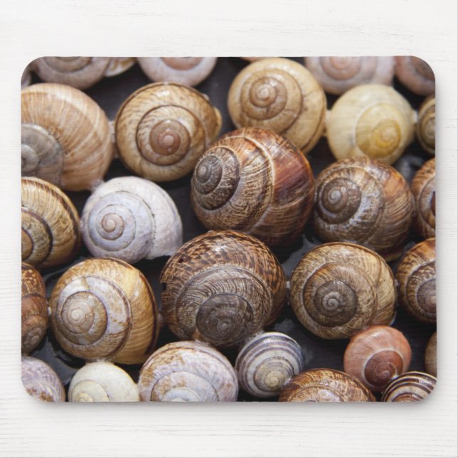Snail Shells Mouse Pad (Front)