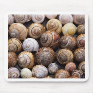Snail Shells Mouse Pad