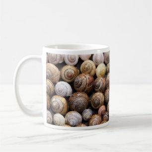 Snail Shells Mug