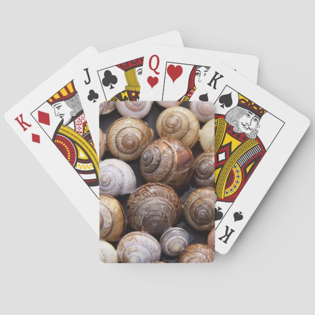 Snail Shells Playing Cards (Back)