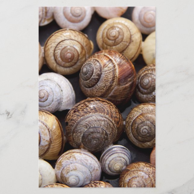 Snail Shells Stationery (Front)