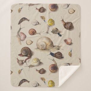 Snail Slug Garden Pet Gastropod Botanical Snails Sherpa Blanket