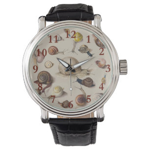 Snail Slug Garden Pet Gastropod Botanical Snails Watch