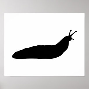 Snail slug poster