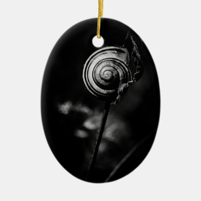 snail tail ceramic ornament (Front)