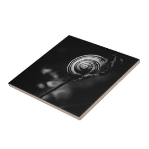 snail tail tile