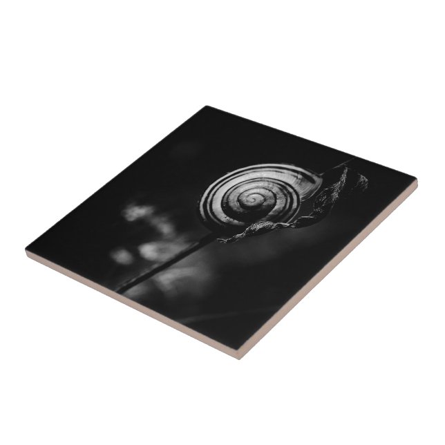 snail tail tile (Side)