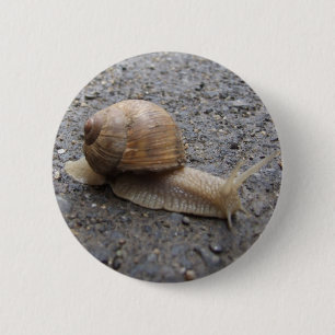 snail walk 6 cm round badge