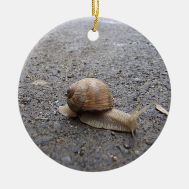 snail walk ceramic tree decoration (Front)