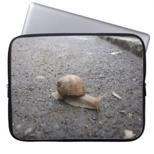 Snail Walk Laptop Sleeve