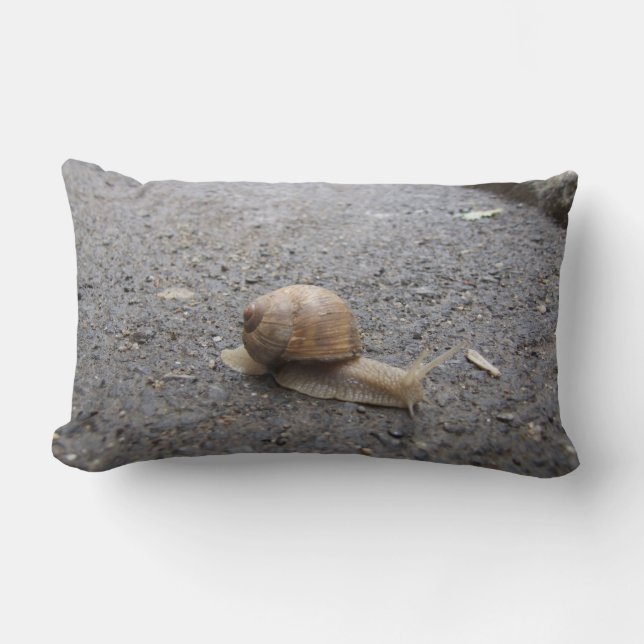 Snail walk lumbar cushion (Front)