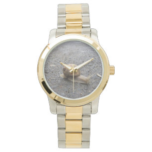 Snail Walk Watch
