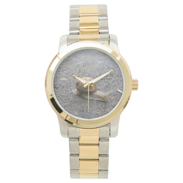 Snail Walk Watch (Front)