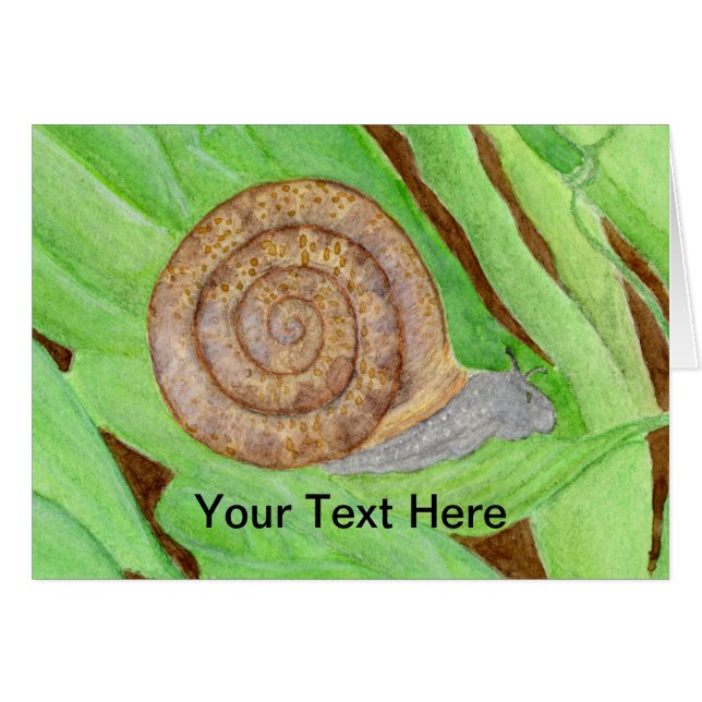 Snail Watercolor (Front Horizontal)