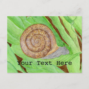 Snail Watercolor Postcard