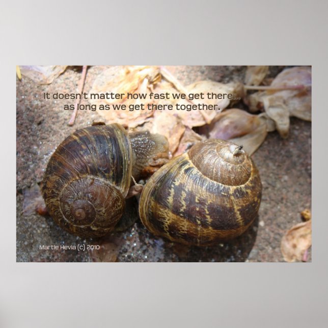 Snails in Love Print - Framed/Unframed (Front)