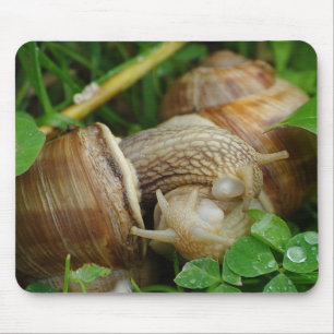 Snails Love Kiss Mousepad