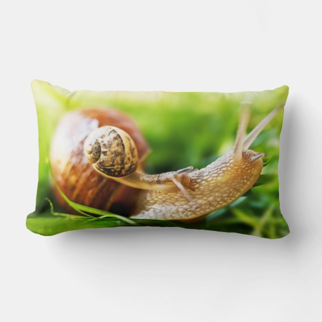 Snails Lumbar Cushion (Front)
